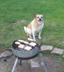 Image by By David Sedlecký 