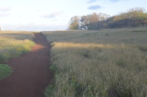 The red path to Maka Horse Beach.