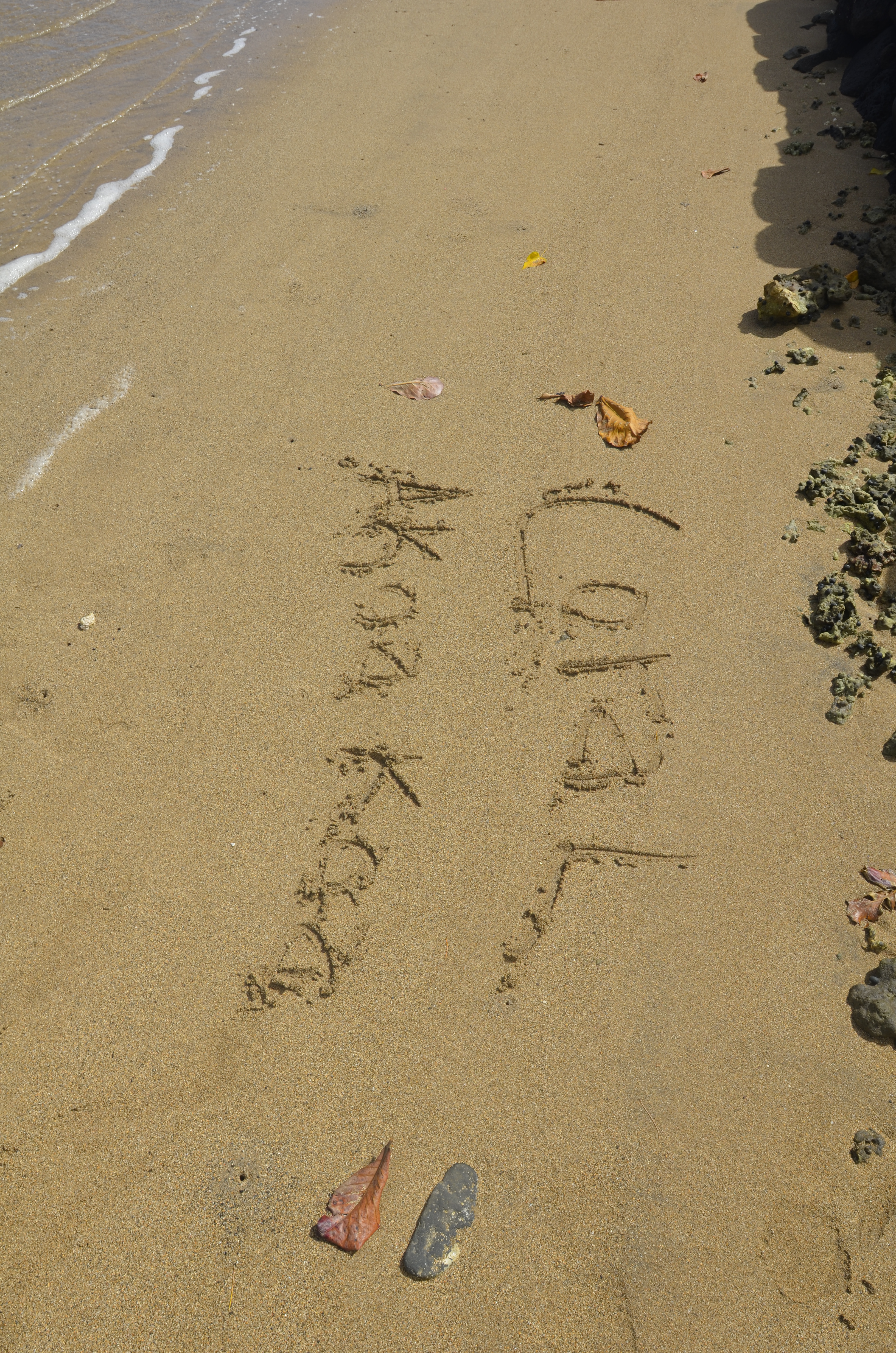 Leimana's chalkboard.