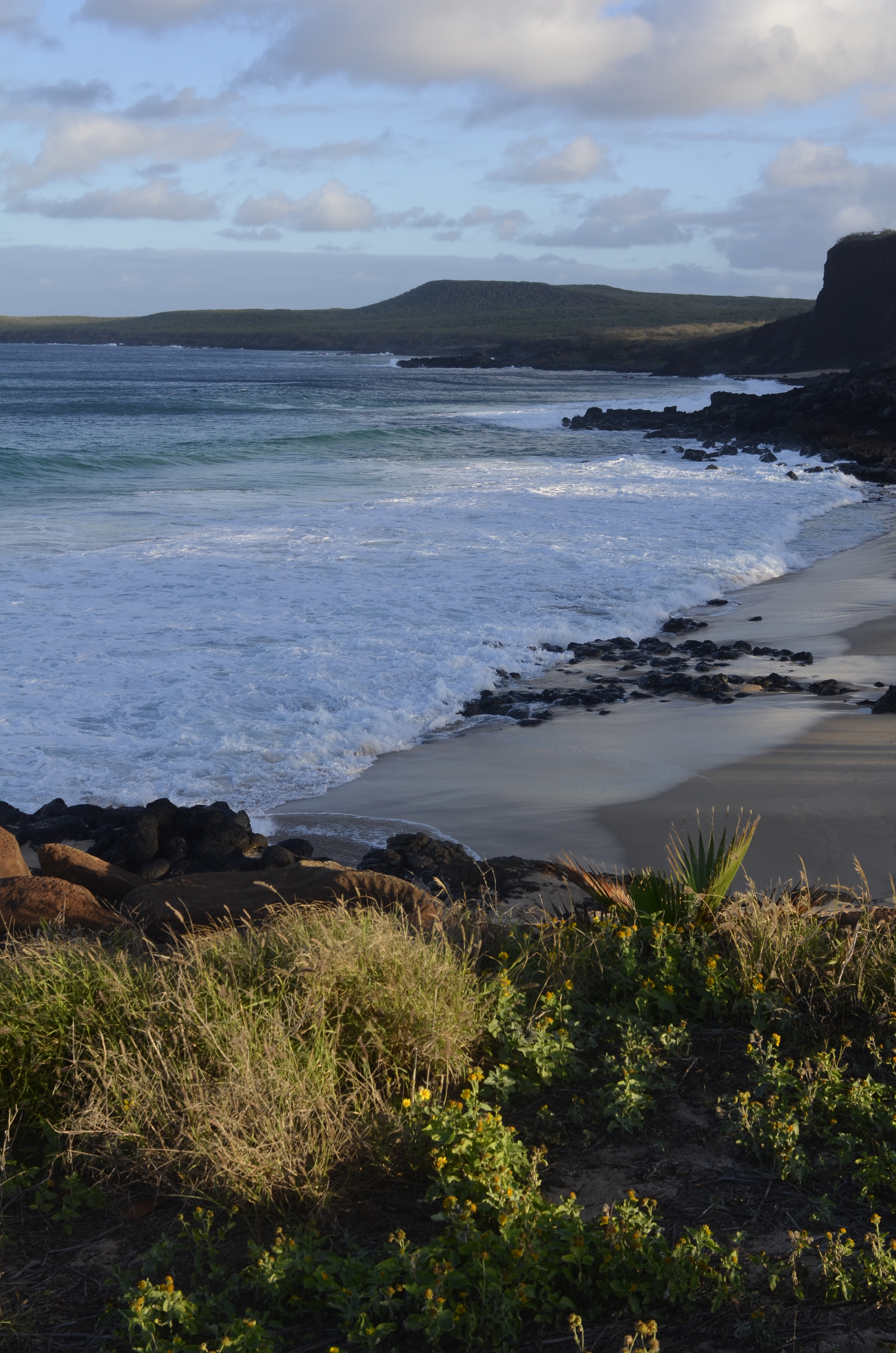 Make Horse Beach. Credit, as with almost all photos because my iPhone is dead, to Tom Keenan.