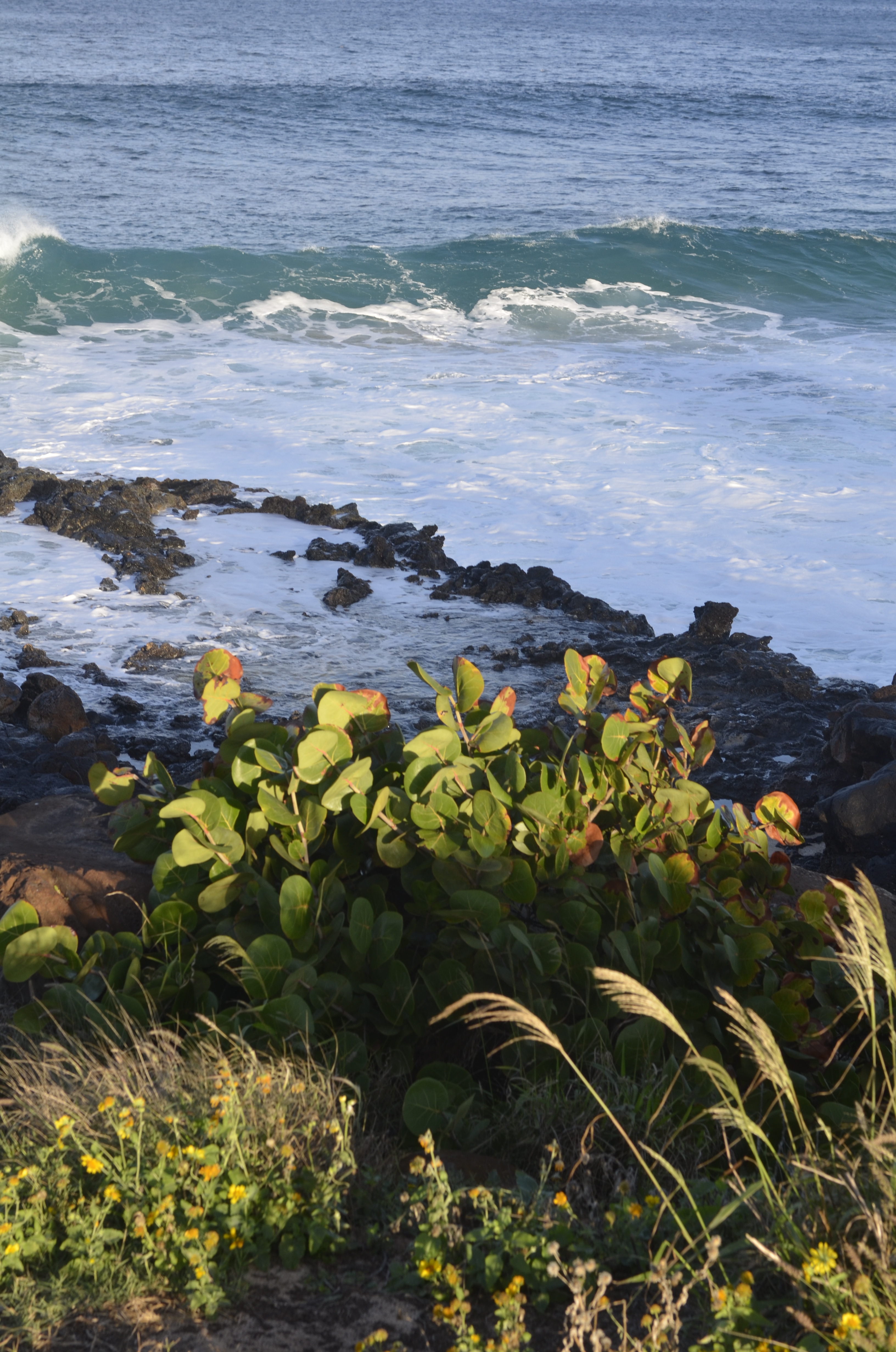 Because Tom Keenan is an amazing photographer!