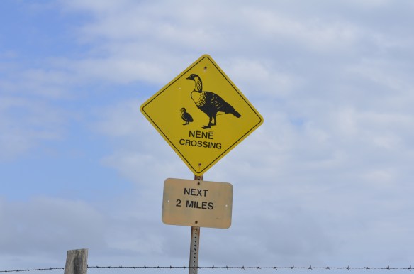 Nene crossing sign.